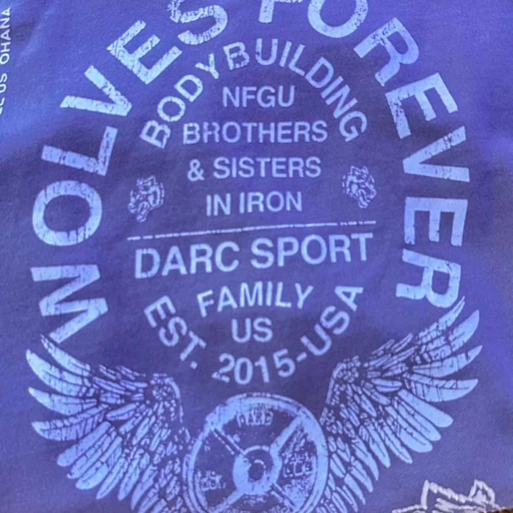 Darc Sport Mauve Graphic Hoodie - Picture 4 of 8